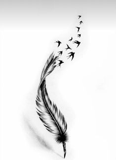 a drawing of a feather with birds flying around it