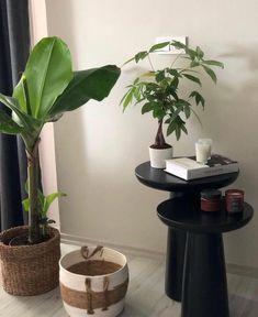 two potted plants sit on small black tables