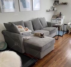 a cat laying on top of a couch in a living room