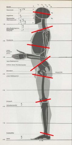 an image of the human body with different parts labeled in red and black lines on white paper