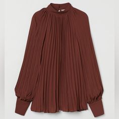 Flared Blouse In Woven, Pleated Fabric. Double-Layered Stand-Up Collar, Opening At Back, And Covered Buttons At Back Of Neck. Long, Raglan Balloon Sleeves And Wide Cuffs With Covered Buttons. Lined. Casual Pleated Tops For Fall, H&m Tops For Workwear In Fall, H&m Tops For Workwear Fall Season, H&m Long Sleeve Tops For Fall, H&m Long Sleeve Tops For Work, Pleated Blouse For Fall, H&m Brown Long Sleeve Tops, H&m Brown Tops For Fall, Elegant H&m Tops For Fall