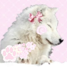 a white dog with a pink bow on its head and paw prints in the background