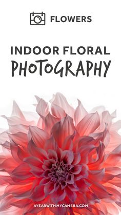 a red flower with the words, flowers indoor floral photography on it's side