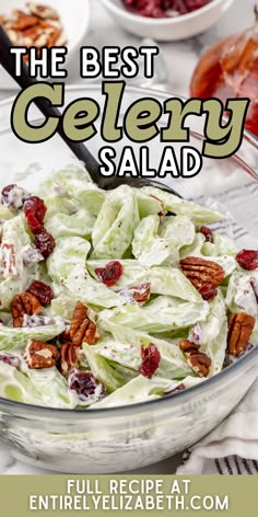 the best celery salad with cranberries and pecans