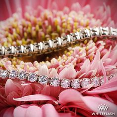 2.30ctw Four-Prong Timeless Diamond Tennis Bracelet Bracelet Shop, Diamond Tennis Bracelet, Tennis Bracelet Diamond