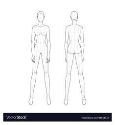 a female mannequin standing in front and back view with the body drawn out