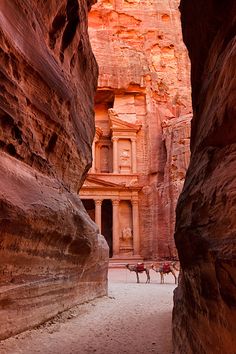 two horses are walking through the narrow slots in the rock city, wadih