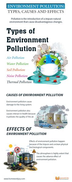 an info sheet describing different types of pollution