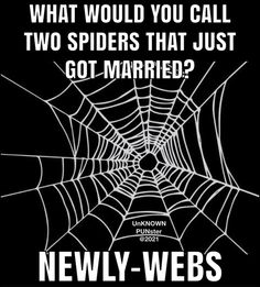 a spider web with the words, what would you call two spiders that just got married?