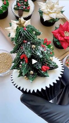 cupcakes decorated with christmas trees and poinsettis