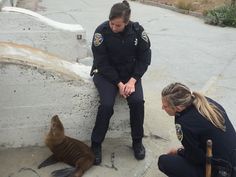 two women in police uniforms are looking at a seal