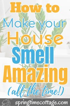 a potted plant with the words how to make your house smell amazing all the time