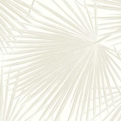 an abstract white background with palm leaves in the foreground, and light brown lines on the bottom right corner