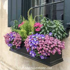 a window box filled with purple flowers and greenery