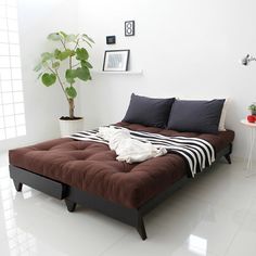 a bed sitting in the middle of a room next to a potted plant