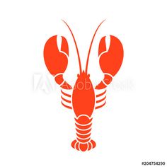 a lobster is shown on a white background