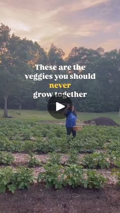 a person standing in a field holding a basket with vegetables on it and the words, these are the veggies you should never grow together