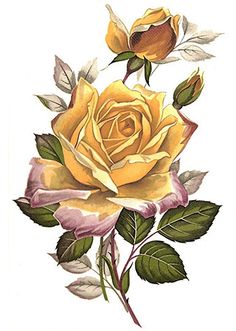 a drawing of a yellow rose with green leaves