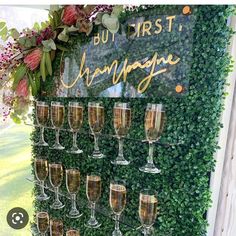 there are many wine glasses lined up on the wall with greenery behind them and an orange sign that says, but first champagne