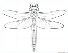 a drawing of a dragonfly sitting on top of a piece of paper