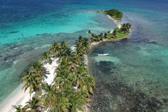 an island surrounded by palm trees in the ocean