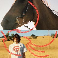 a man standing next to a horse with words written all over the face and neck