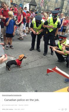 a group of people that are standing in the street with a dog on a leash