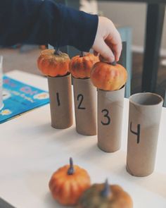 5 Little Pumpkins • We read Pete the Cat's Five Little Pumpkins, and then balanced my mini decorative pumpkins on some numbered tp rolls to imitate the "5 little pumpkins sitting on a gate." Kade liked pretending the tp rolls were the pumpkins' "beds" and he was putting them to sleep.😆🤷🏻‍♀️ Aside from the balancing, we also practiced identifying the numbers and counting to 5 while pointing to the pumpkins.👌🏼 • • • • • #earlylearning #earlylearning101 #5littlepumpkins #pumpkinactivities #... Halloween Read Alouds, Pete The Cats, Counting Activity, Baby Activities