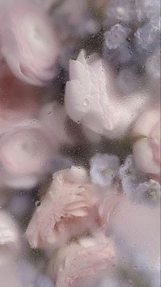 some pink flowers are in the water and on top of each other, with bubbles coming from them