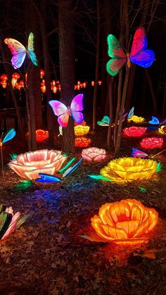 colorful lights in the shape of flowers and butterflies