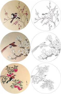 four birds sitting on top of flowers and branches in three different circles, each with one bird perched on the branch