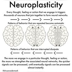 the neuroplasity diagram with three areas labeled in black and white, including two