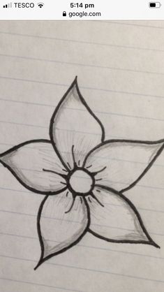 a drawing of a flower on lined paper