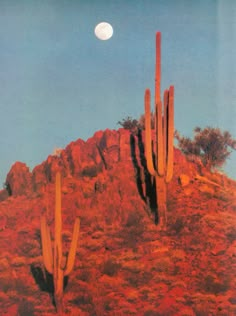 an image of a desert scene with cacti and the moon in the sky