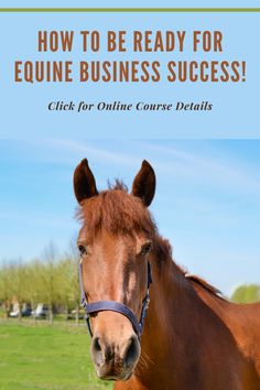 a brown horse standing on top of a lush green field next to a blue sky