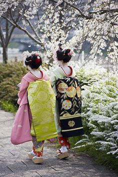 two women dressed in traditional japanese clothing walking down a path with white flowers behind them