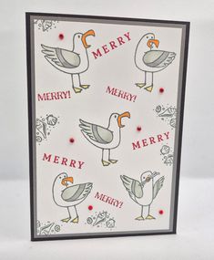 a christmas card with two birds and merry words on the front, one bird has an orange beak