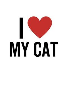 the words i love my cat are black and white with a red heart on it