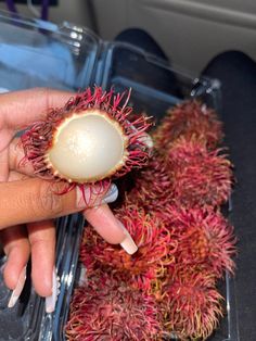 a woman's hand is holding a fruit with red and yellow sprouts