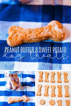 peanut butter and sweet potato dog treats