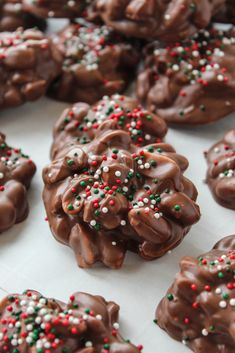 chocolate christmas tree cookies with sprinkles on top