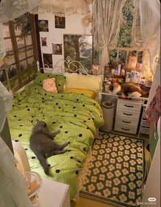 two cats laying on top of a green bed in a room with white walls and curtains