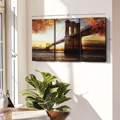 two paintings hanging on the wall next to a potted plant in front of a window