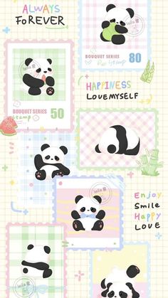 the panda bear is sitting in front of some cards that say happy birthday to you