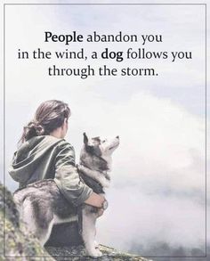 a woman sitting on top of a rock next to a dog with the caption people abandon you in the wind, a dog follows you through the storm