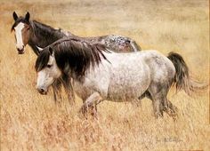 two horses are walking through the tall grass