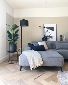 a living room filled with furniture and a large potted plant on the side of the couch