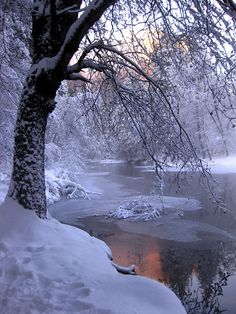 a river with snow on the ground and trees in the foreground, surrounded by ice