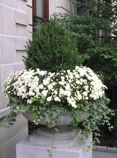 a planter with white flowers in front of a building