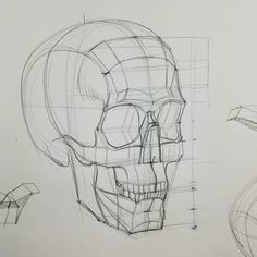 a drawing of a human skull with different angles and lines drawn on it, along with the words ramon alex hurtado